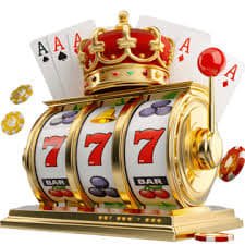 7mcn live